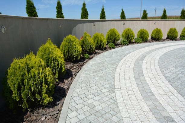 Best Driveway Paving Contractor  in Pelion, SC